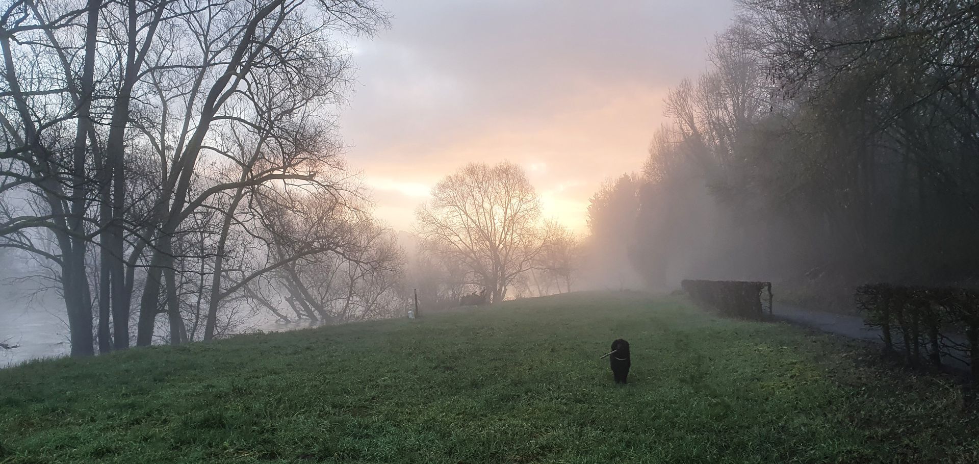 Mist over Sauer river in Echternach