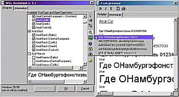 Program Window